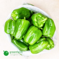 청피망 5kg, 1개