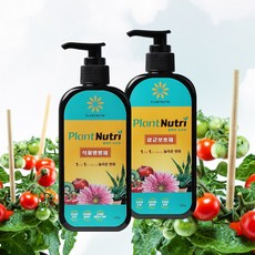 베란다화초키우기