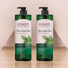 케라시스 티트리오일 샴푸 1000ML 2개 애경, 1L
