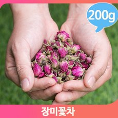식용장미