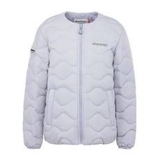 디스커버리픽토르s