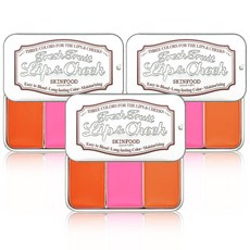 스킨푸드립앤치크