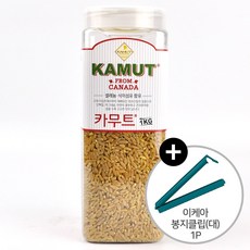 카무트효능