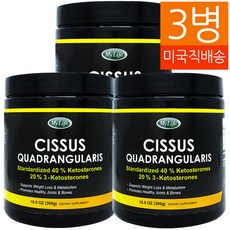 마이라이프 시서스 분말 케토스테론 40% 300g 3병