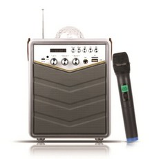 미러볼 블루투스 V4.2 포터블 앰프 마이크 세트
