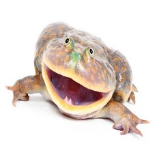 2b9c57a0fde03d28e1d7da74a05a4801b734af97f964405f59c48455d610.jpg