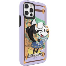 미니디즈니캐슬케이스