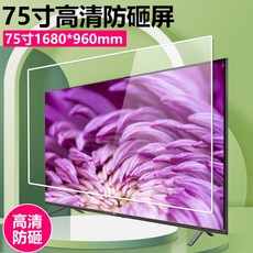 티비 보호기 스크린 파손 방지 눈 액정 보호 LCD 모니터 보안기, I.HD안티스매싱75인치1680x960