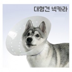 동물병원전용 대형견 초대형견 중성화 넥카라 플라스틱 길이조절가능, XXL(25cm), 1개