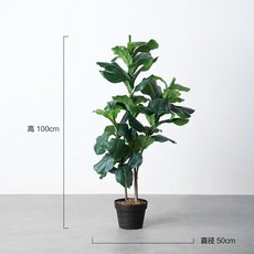 반얀트리레스토랑