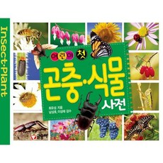 곤충사전