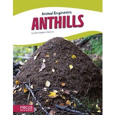 Anthills Library Binding, Focus Readers