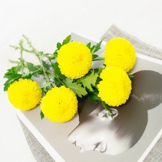 7bc4e5f4a1daa7061e7a6fc7444f72711b107ef5af898edec6592344cc47.jpg