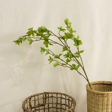 둔떼