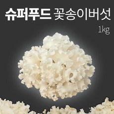 황제버섯