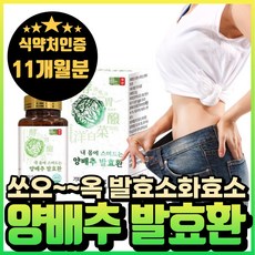국내산 양배추 발효 효소 유산균 환 분말 식약처인증 에너데이 소화효소 haccp 락토바실러스 플란타룸 김치 유산균 위에 좋은 음식 양배추 환 발효효소 혁2라이프