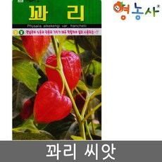 멜로키아씨앗