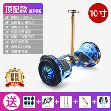 전동이륜평행차