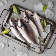 반건조 민어조기 1.4kg 10미 손질민어조기 생일상 잔치상 제사상, 1개, 1.4kg_10미