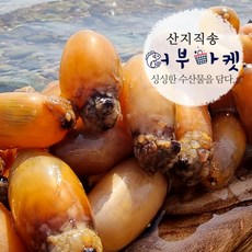 당일손질 제철 통영 미더덕 참미더덕 1kg 횟감 미더덕회