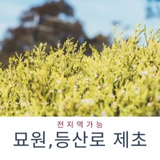 경주 예초용역 벌초대행가격 잔디깍기 벌초비용 벌초비용 잡초제거 산소잔디 묘지관리