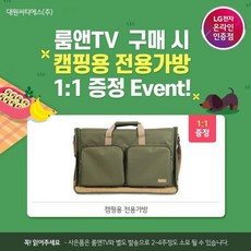 lg룸앤스마트tv