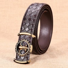 와일드브릭스벨트