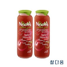 노아주스 애플 블러드오렌지 자두 아사이 주스 스무디, 260ml, 12개