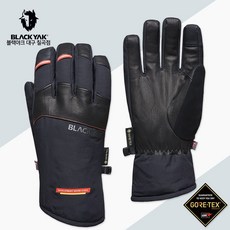 블랙야크 공용 겨울 고어텍스 패딩 방한 장갑 DNS액티브 글러브 2BYGVF3907 보온 방수 등산 캠핑 스포츠 스마트폰 터치, 블랙, 1개