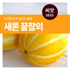 마이플랜트 새론 꿀참외 씨앗 50립, 1개