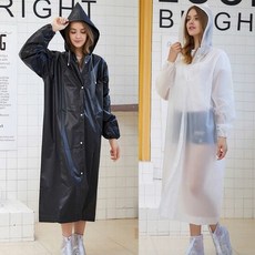 테르보우의