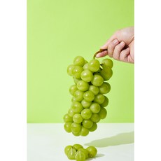 수출용 고당도 샤인머스켓 김천 상주 샤인머스켓 1kg 2kg, 1개, 상위10%1등급1kg(1~2송이)