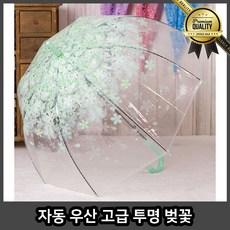 자동 튼튼한장우산 벚꽃 가벼운 그린 헤즈 사쿠라장 고급 투명