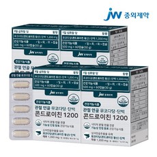 JW중외제약 관절 연골 뮤코다당 단백 콘드로이친 1200, 4개, 60캡슐, 60정