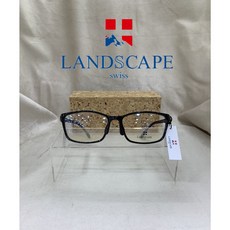 랜드스케이프선글라스