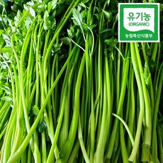 순창 유기농 미나리 돌미나리 1kg 새벽수확 세척발송, 1개