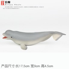 귀욤흰고래