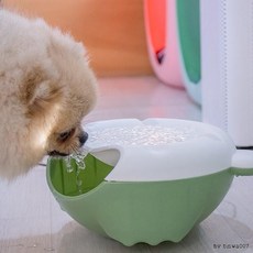반려동물 자동순환 급수대 Waterer, 1개, 화이트+블랙
