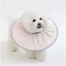 강아지제로넥카라