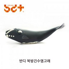 긴수염고래