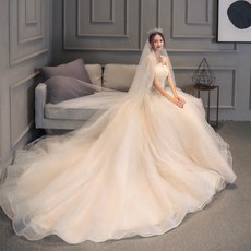 별이총총한하늘 틱톡 주 신부 럭셔리 튜브탑 꼬리끌림 숲 스윗 몽환 작은 키