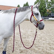 제주승마레슨비용