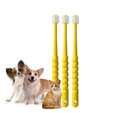 샤이닝펫미스트