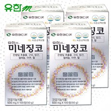 유한 미네징코 은행잎추출물 기억력 혈행개선, 50g, 400정
