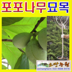 bc28e6a3798b8046556d70254a7ac34e8e6be11c99132c3f72f2bd32d514.png