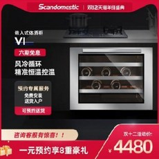 와인셀러 와인보관 스칸디메스틱 임베디드 미니 다기능 가정용 와인장 전자 항온냉장고, 01 임베디드 와인장 VK320