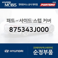 베라크루즈사이드스텝