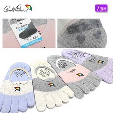 아놀드파마ap6100