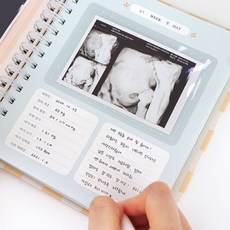 각인초음파앨범