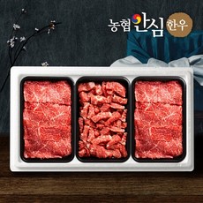 [농협안심한우] 한우 정육 선물세트 1호(1.2kg) 불고기/국거리